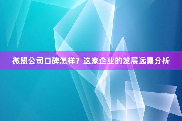 微盟公司口碑怎样？这家企业的发展远景分析